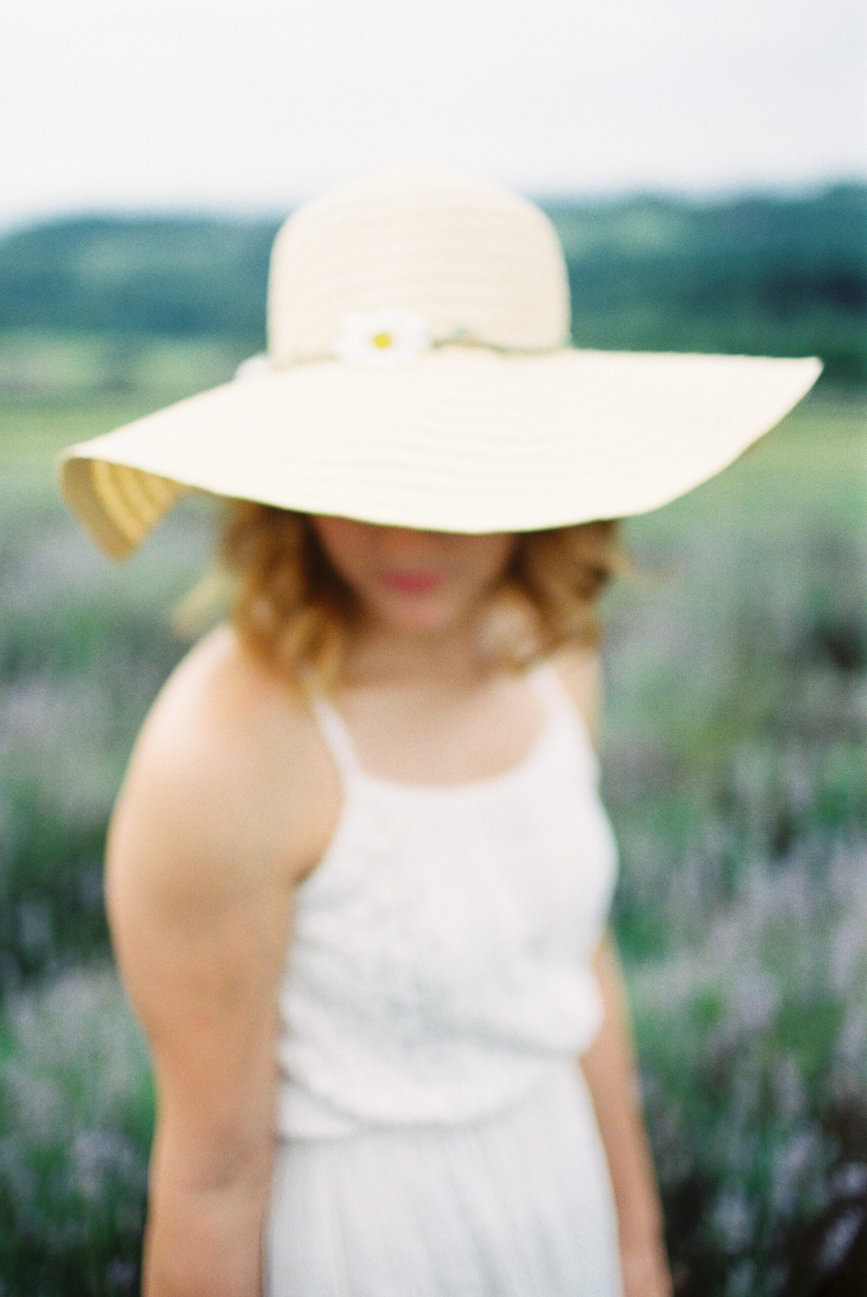 Hope hill Lavender Farm