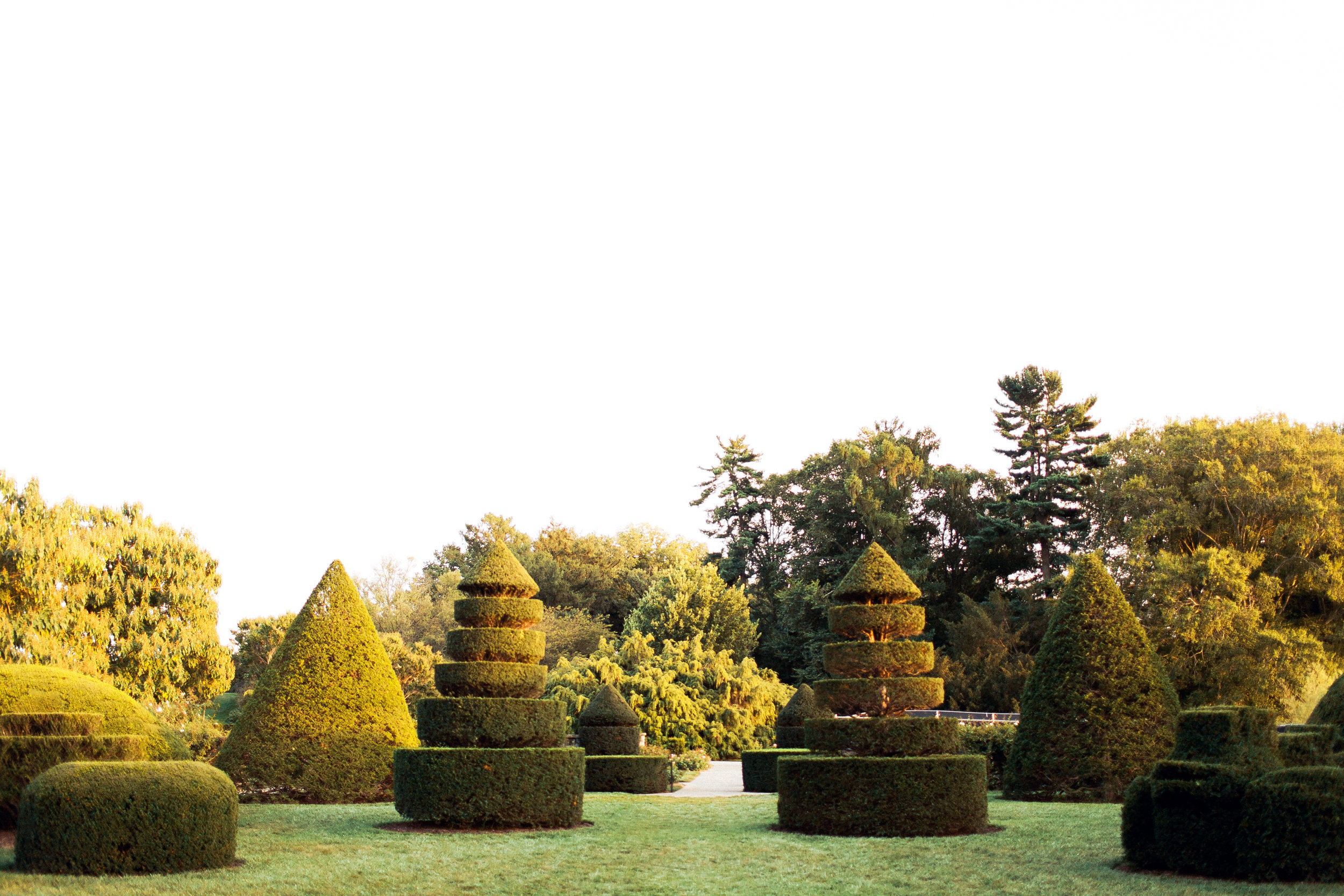 Longwood Gardens Engagement Session